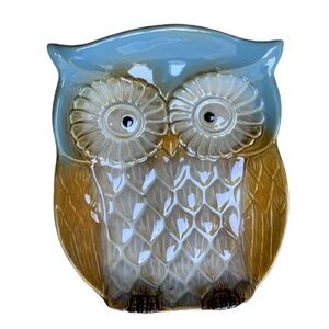 Owl Glazed Ceramic Muti Use Dish Tray Whimsical Blue Decorative Functional Art